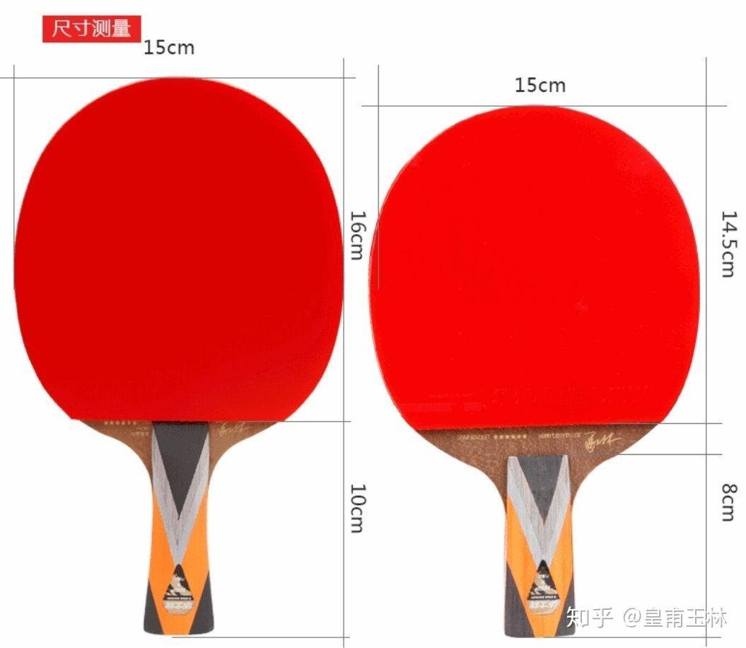 (1)直板与横板乒乓球底板的分类方式一般是根据握法不同以及材料不同