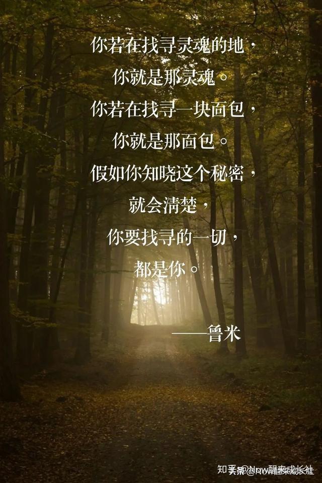 鲁米|你在找寻的是什么?