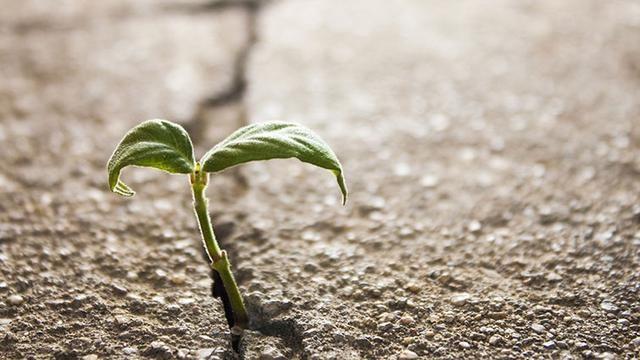 穿越经济周期就靠一股子韧劲