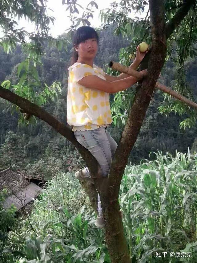 白色梦幻第三季