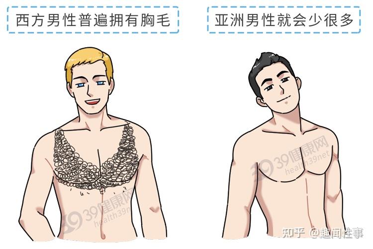 女生为何喜欢没胸毛的男生原因你绝对想不到