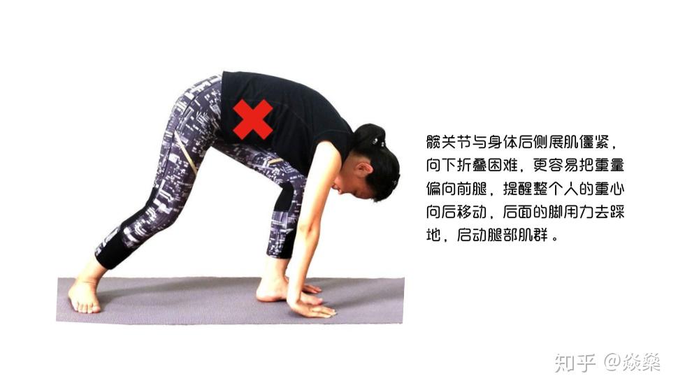 治拱背、塑美臀，全靠它！ - 知乎