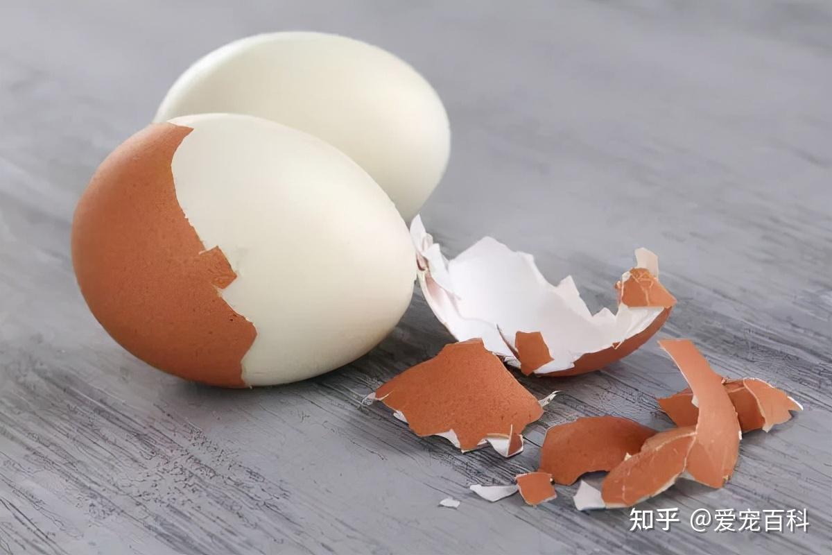 4,鸡蛋白