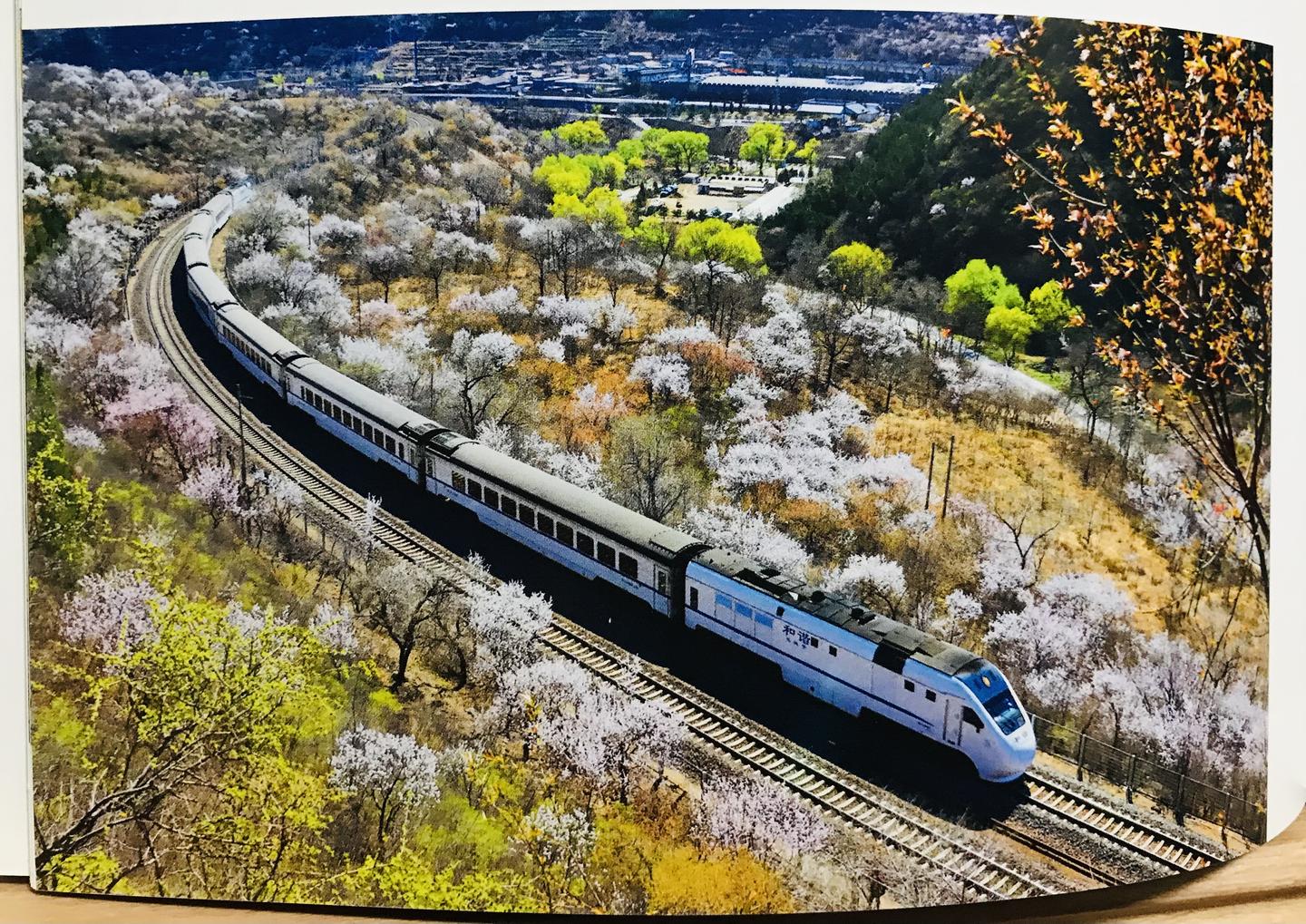 丈量世界 500条经典铁路路线中的世界史 搭火车一路向前 旅程即目的地 知乎