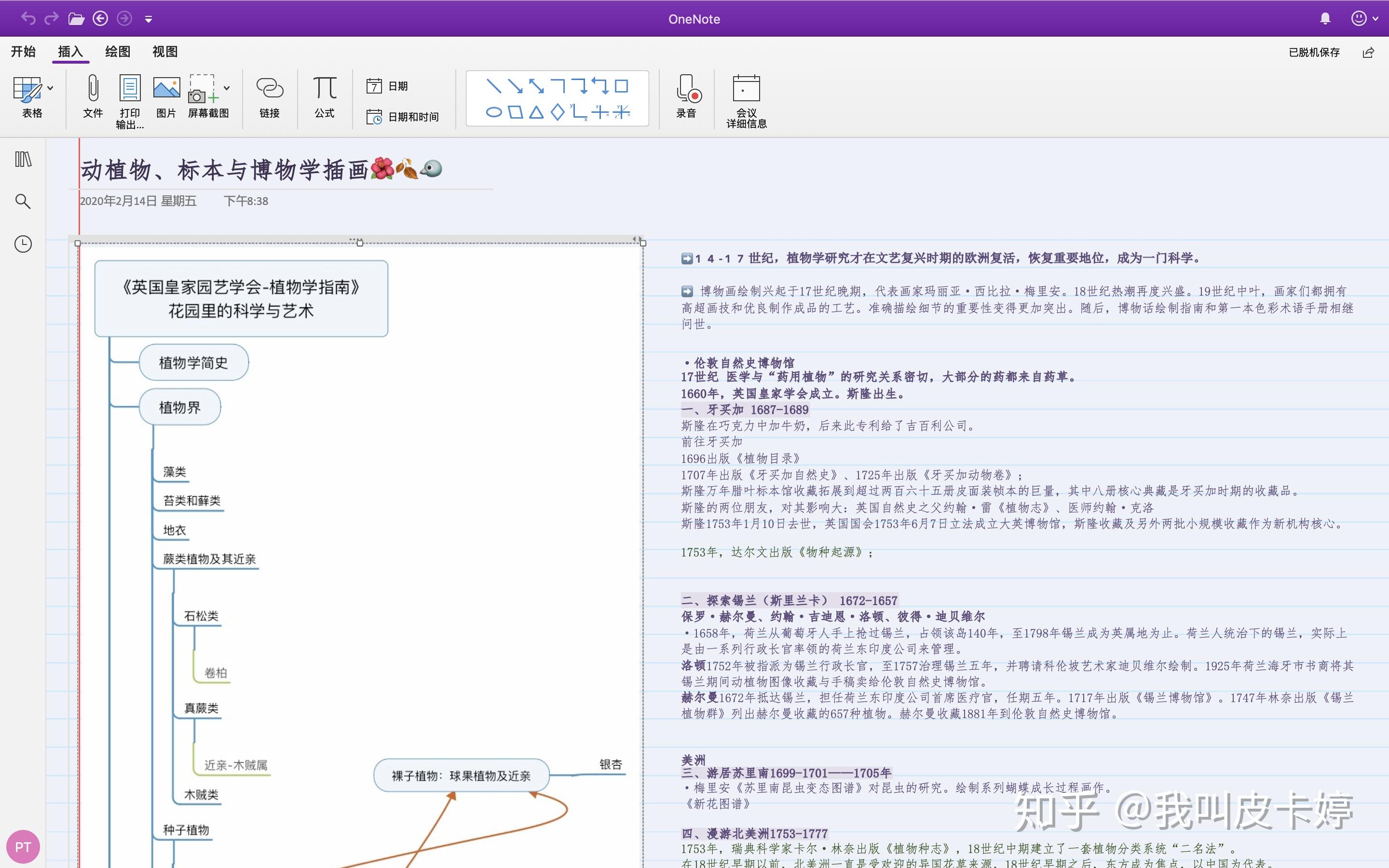 工作学习除了MindManager，有啥配得上烂尾OneNote - 知乎