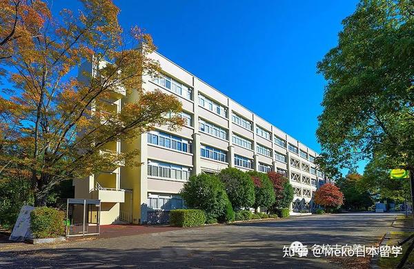 出愿tips丨埼玉大学学部综合报考指南 知乎