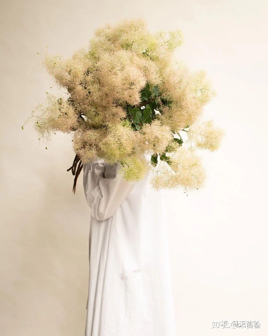 花材种类千千万快来给它们安个家3散点花材及特殊花材篇