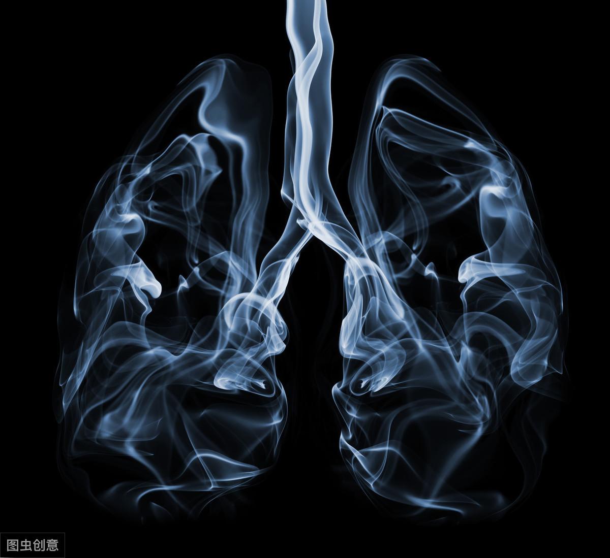 呼吸系统吸烟者的肺沉重 3D模型 $199 - .ma .max .upk .unitypackage .obj .c4d .fbx .usd ...
