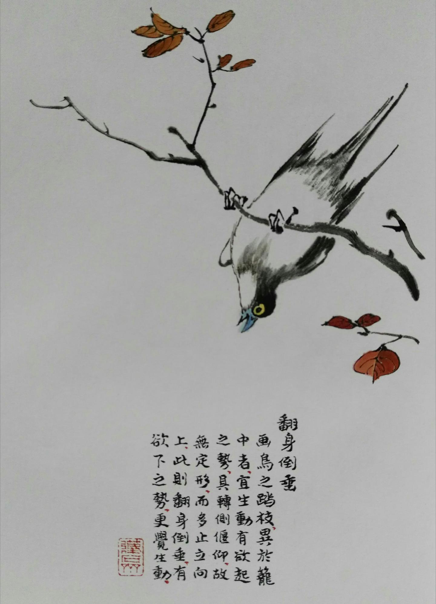 画鸟技法12个步骤分解和21种姿势,让你轻松入门 - 知乎