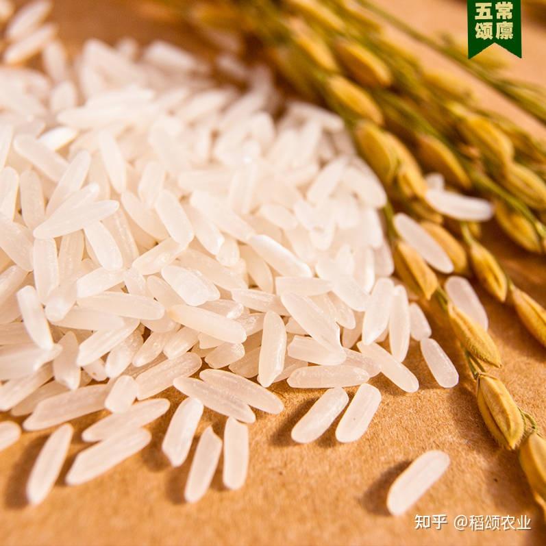 稻颂农业丨奶香米饼