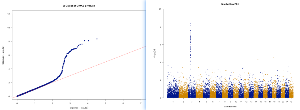 GWAS分析中可视化：qqman和cmplot - 知乎