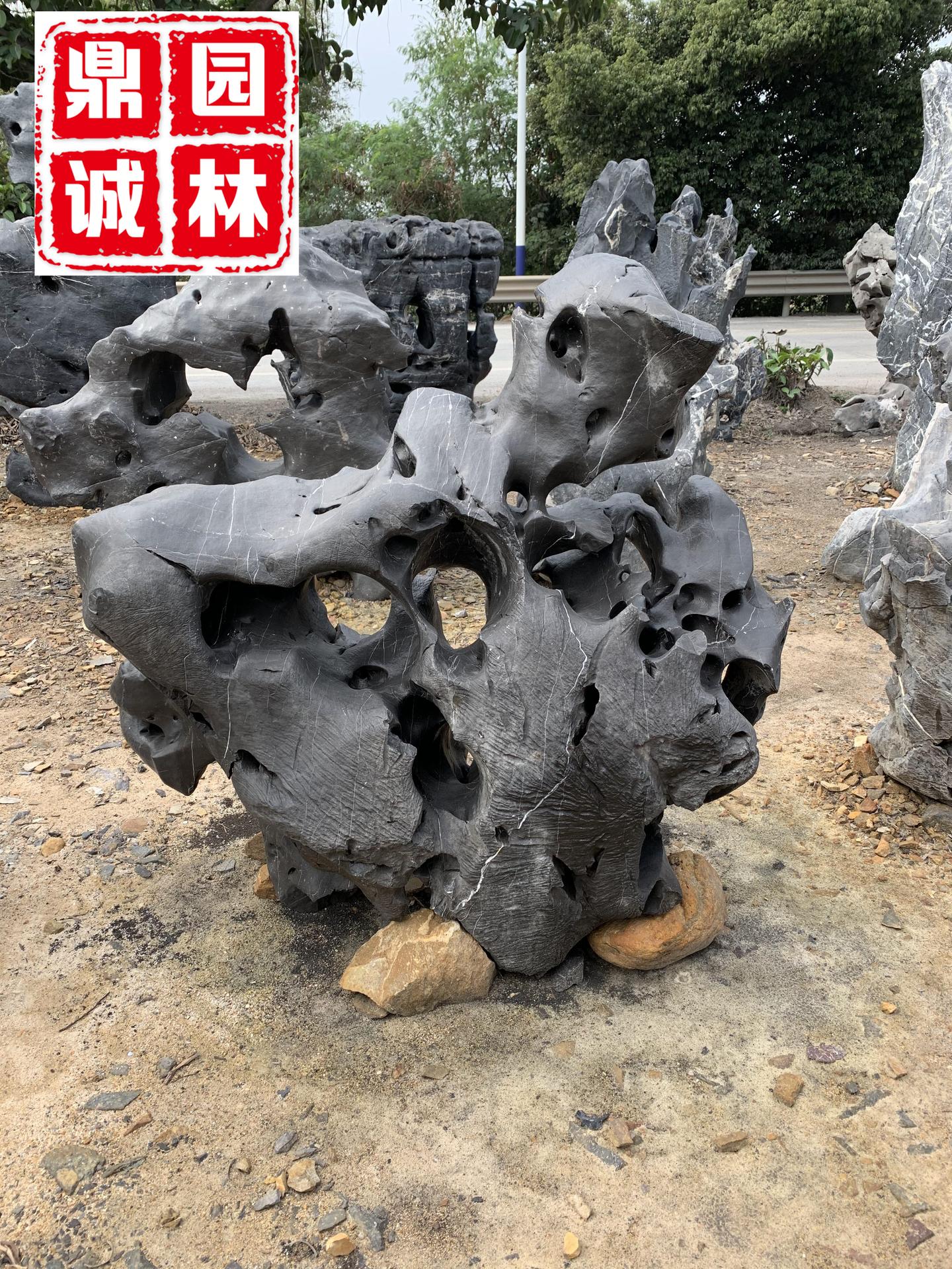 中国 天然太湖石 紅木 中国 天然太湖石 紅木