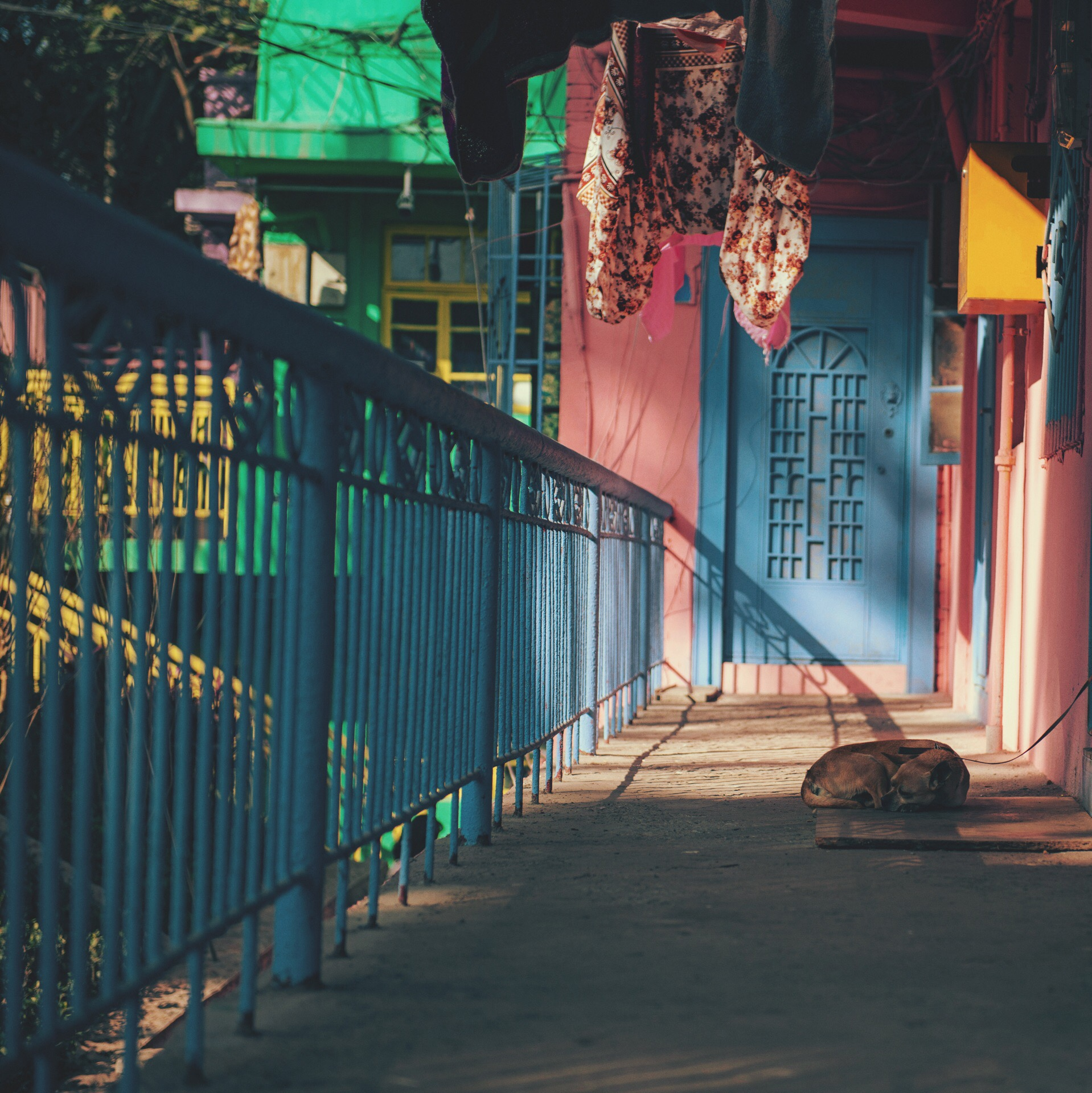 重庆石井坡特钢老厂社区之行