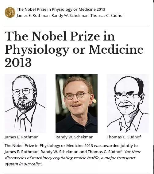 外泌体：从一个小囊泡到诺贝尔奖的逆袭之路 - 知乎