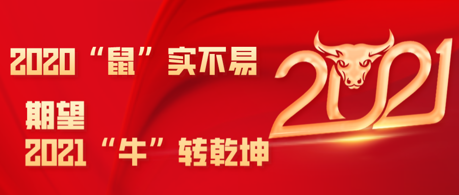 2020鼠实不易期望2021牛转乾坤