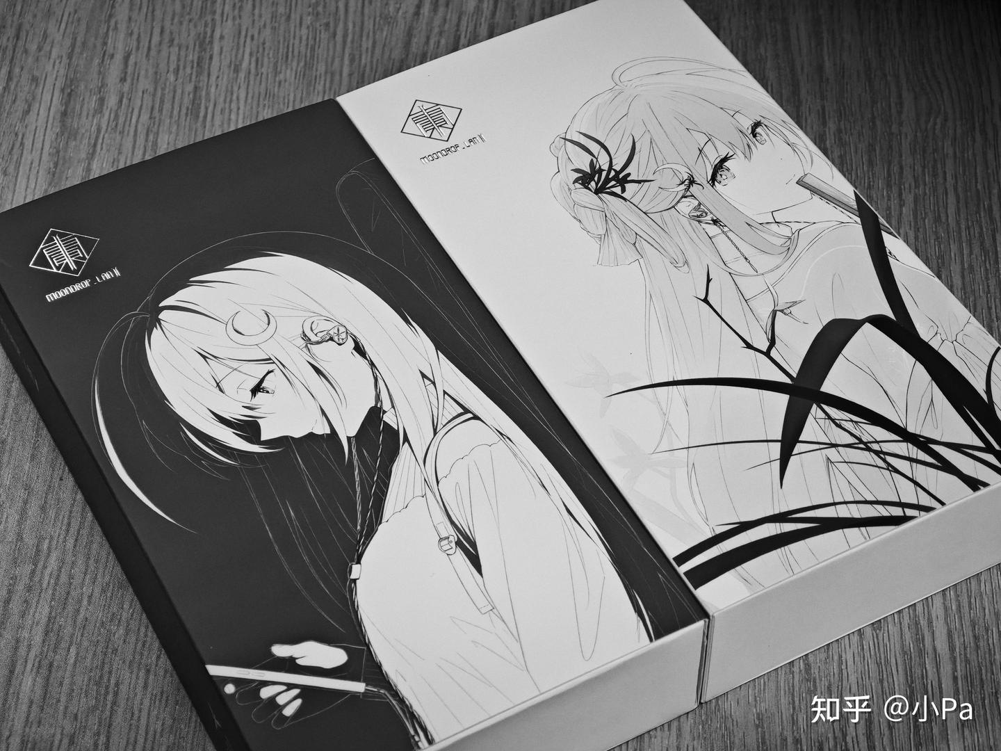 水月雨 兰2/MOONDROP LAN 2 速评