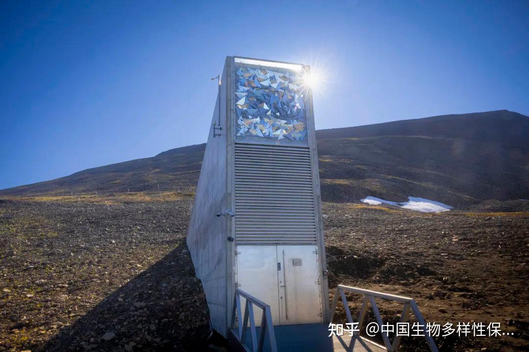 末日种子库:人类最后的“诺亚方舟”,能拯救我们的餐桌吗? - 知乎