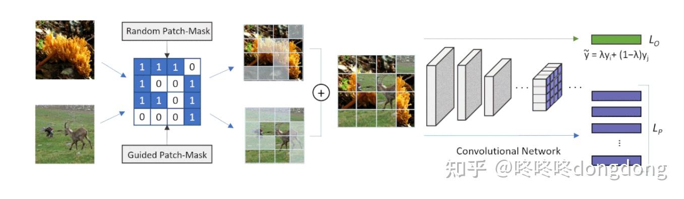 论文阅读InfoPatch:Learning a Few-shot Embedding Model with Contrastive ...