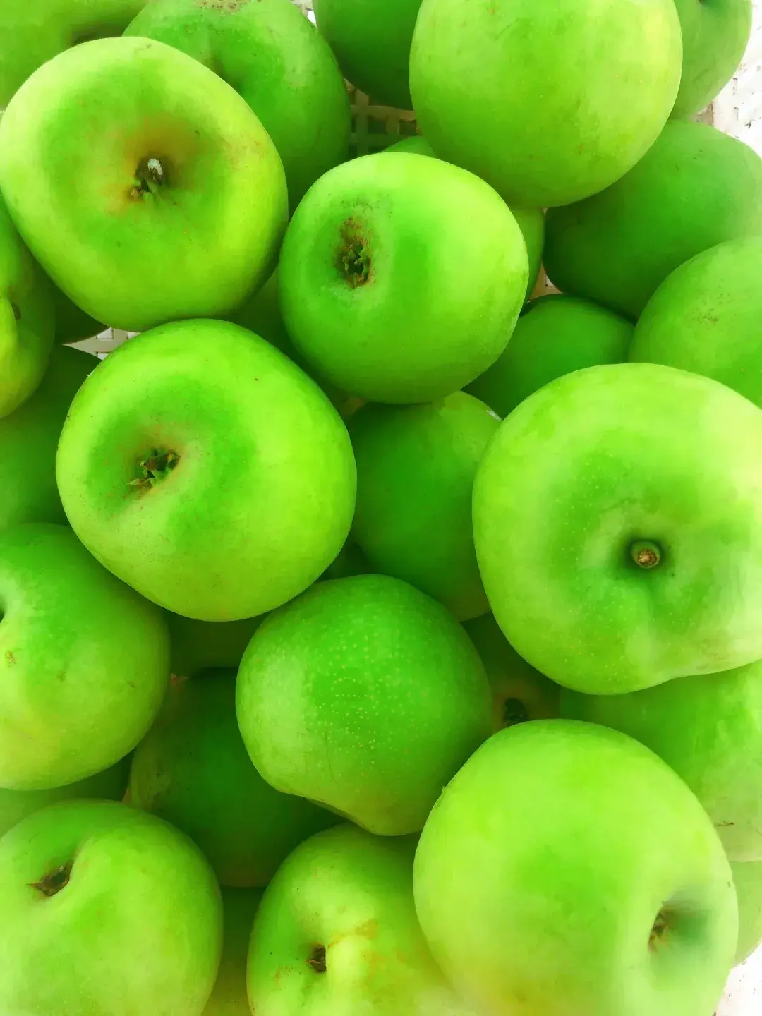 梨花都变成黄绿绿的果实清流的夏天空气中飘荡着一股梨花的清香清流的