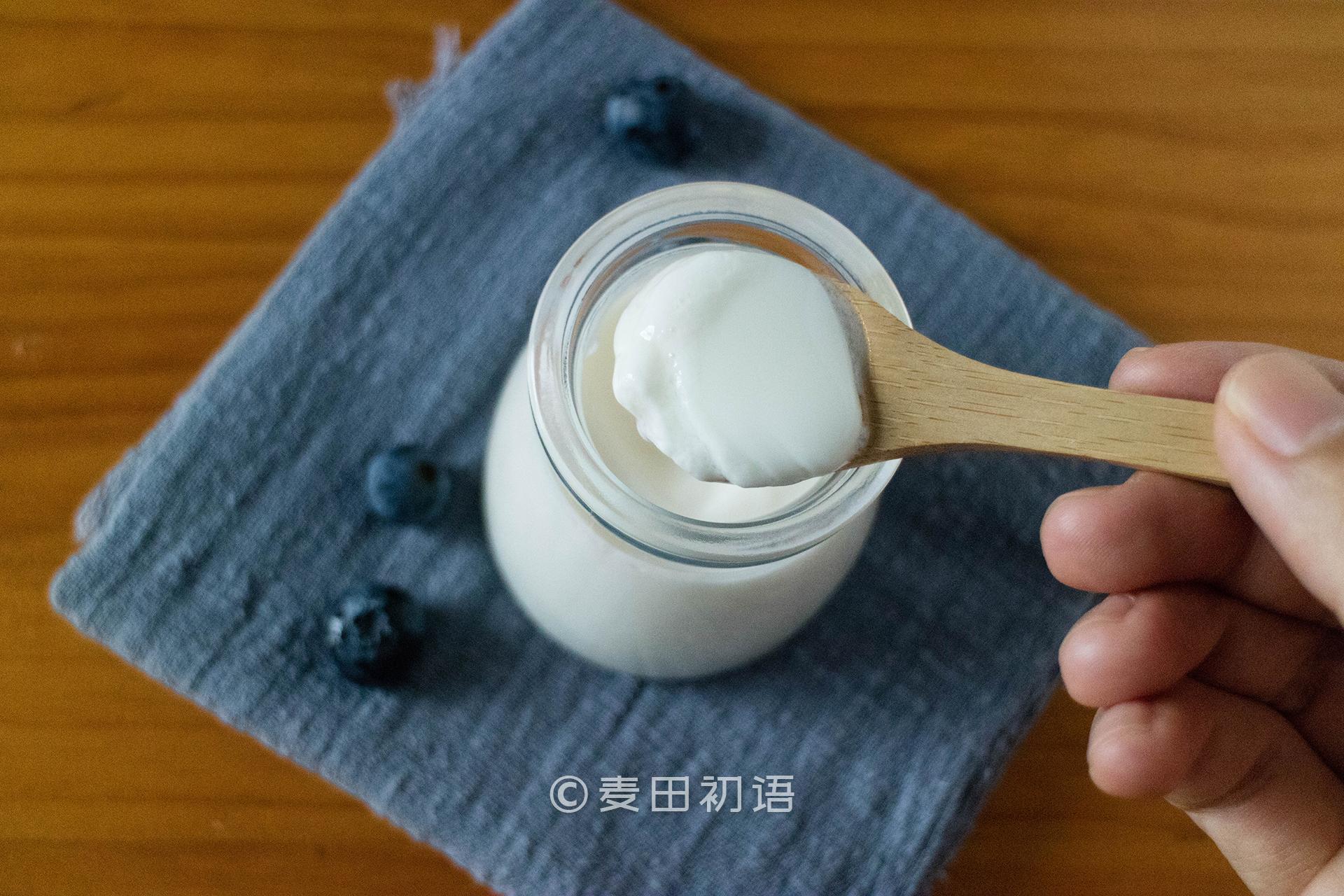 酸奶制作怎么做_酸奶制作的做法_豆果美食