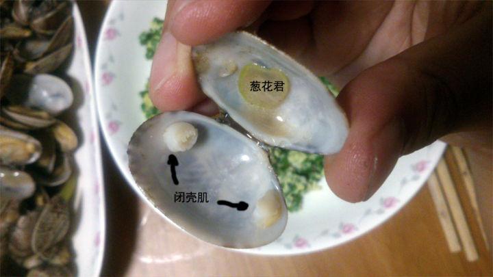 能修身减肥的海鲜海八珍之一瑶柱