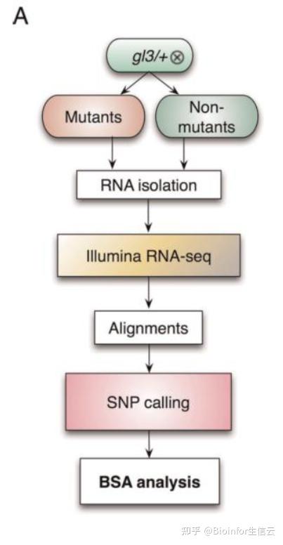 BSA分析(一)背景介绍 - 知乎