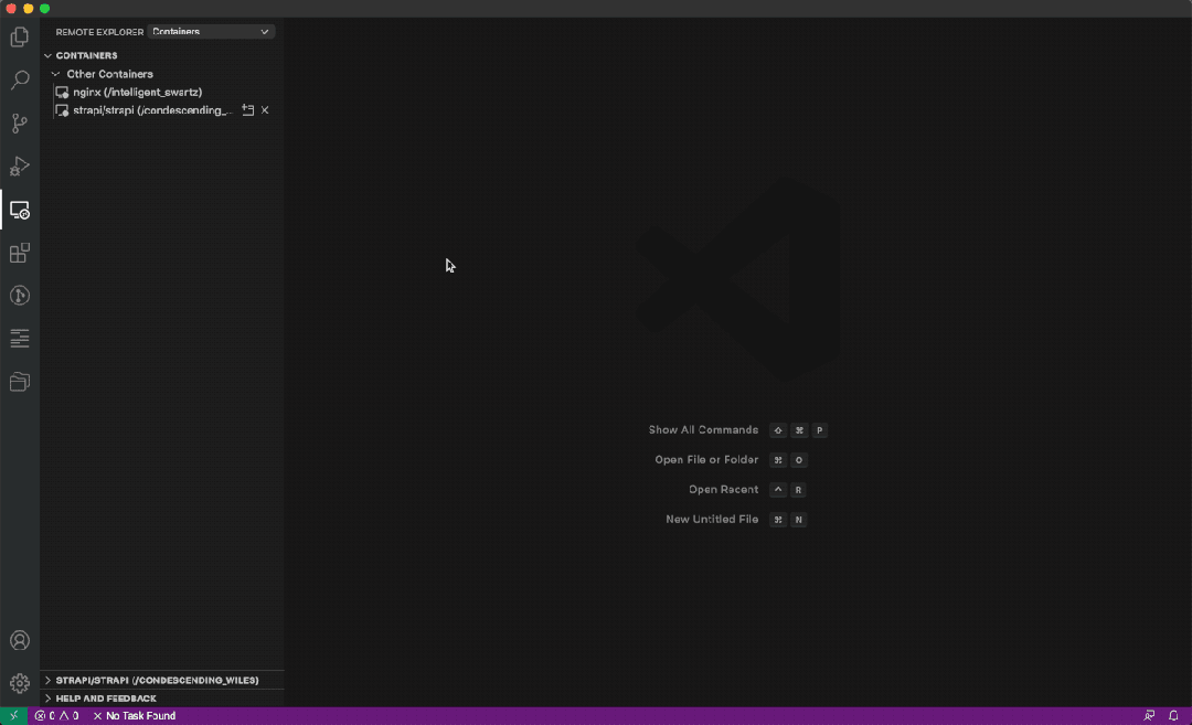 Vscode remote development docker 