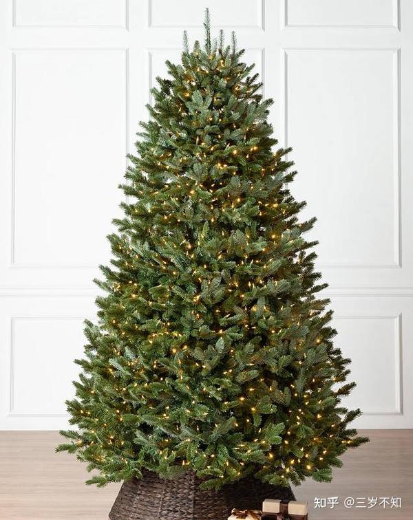 圣诞树是什么树?