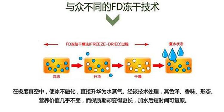 蜂王浆冻干机及冻干粉真空冷冻干燥技术