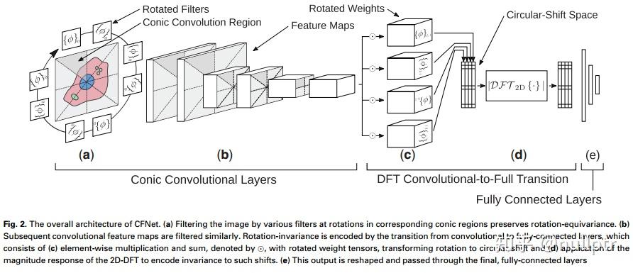 Rotation equivariant and invariant neural networks for microscopy image ...