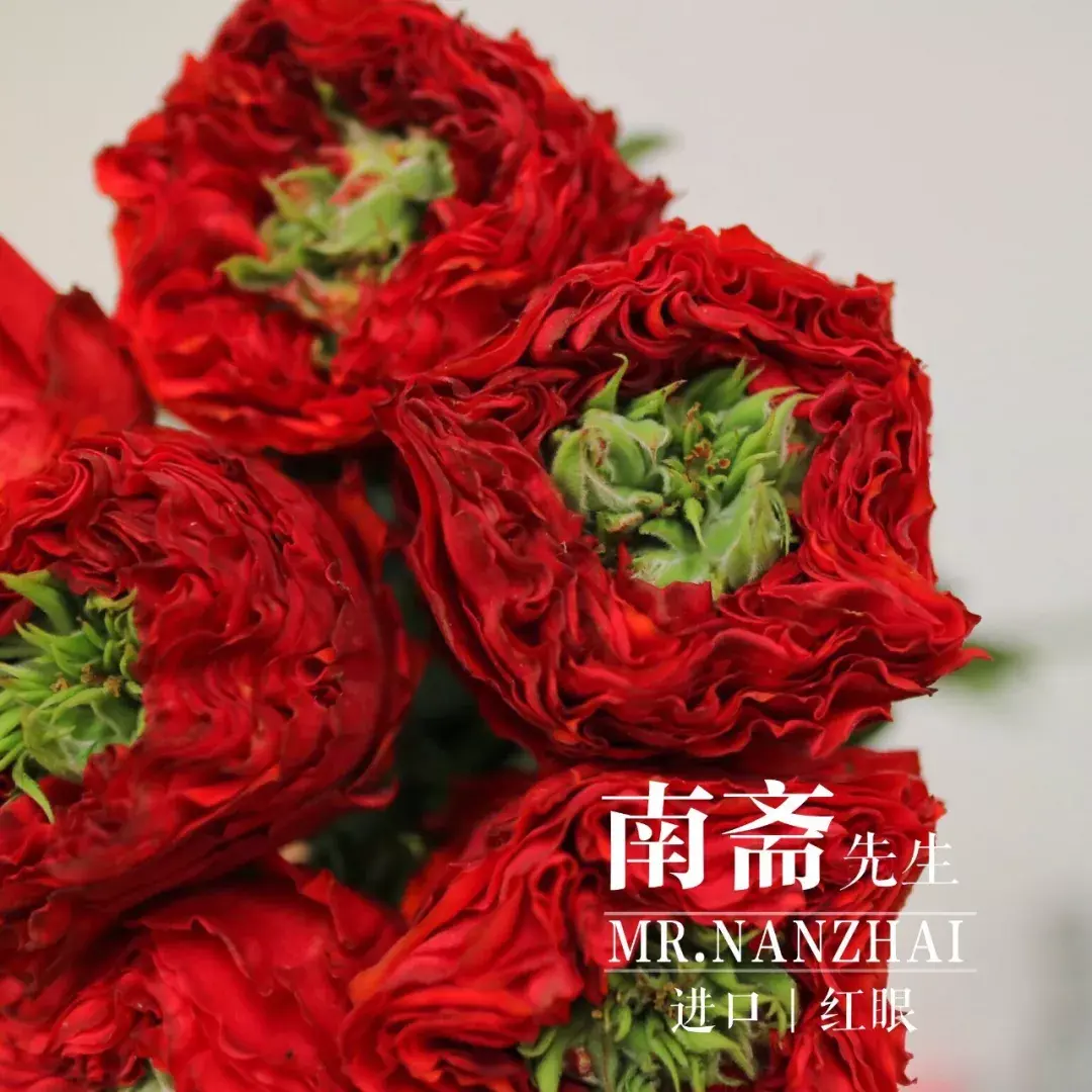 瑞秋花艺干货私藏花艺师必知的玫瑰花材分享四
