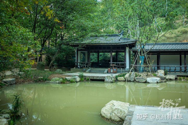 左手竹林，右手茶田，这条在杭州存在了上千年的隐秘古道真的值得走一次！ - 知乎