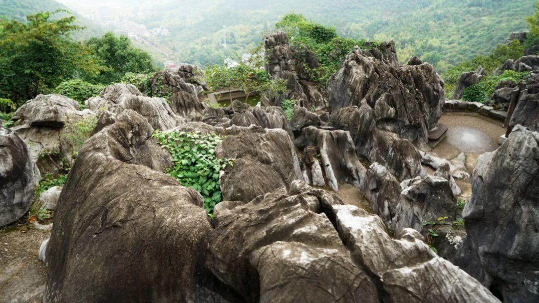 衢州有什么好玩的地方,浙江衢州值得一去的10大好玩景点,收好去玩! - 知乎
