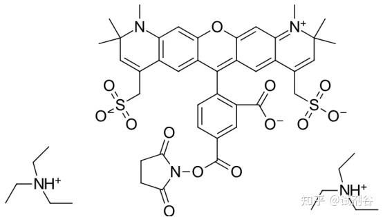 AF594 NHS，AF594 SE，1638544-48-5：依托高亮度红色荧光信号，实时追踪蛋白在细胞内的转运与定位动态 - 知乎