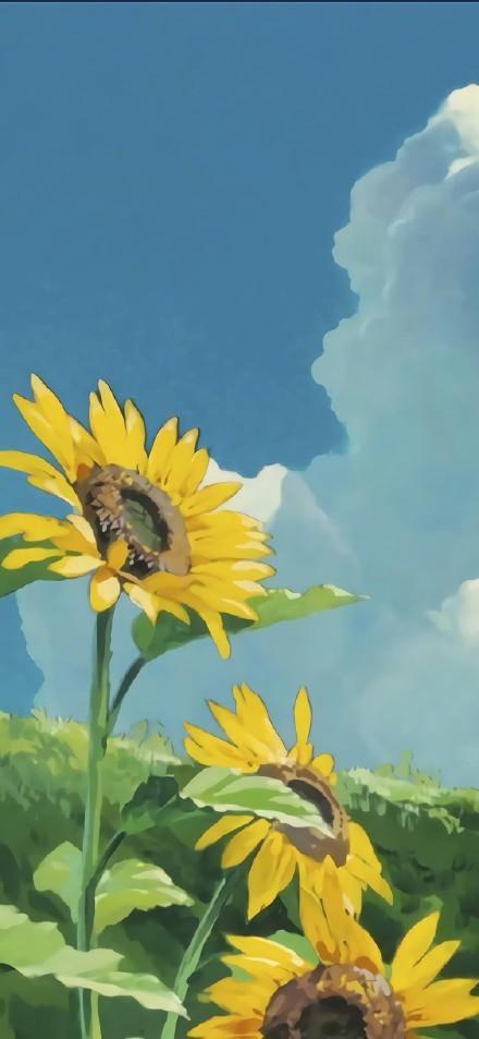 风景系列蓝色系列(首发自微信公众号:小赵同学哟,感谢您的关注~)高清