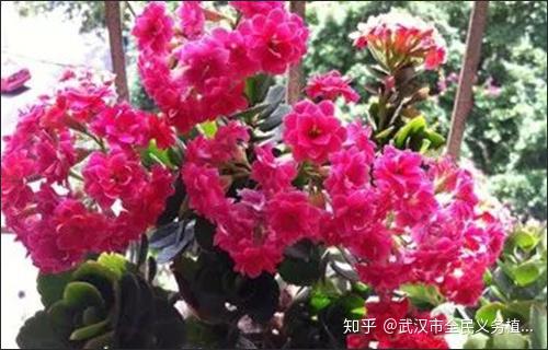 v2-3c24d5ce51a585d9bc7819c01349b931_r.jpg