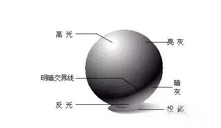 素描初学者怎样画明暗交界线