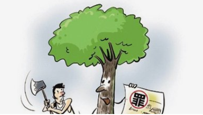 北京瀛台律师事务所温馨提示防风固沙需坚守盗伐林木不可为