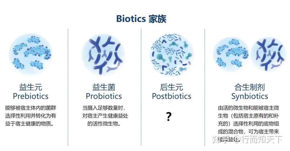 一文读懂益生菌、益生元、合生元和后生元! - 知乎