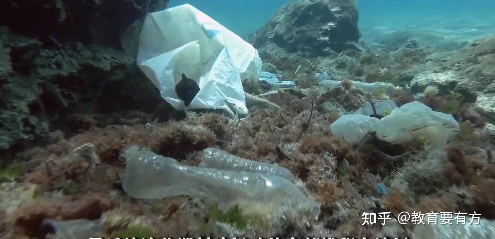 大量的塑料垃圾湧入大海對海洋生態環境有哪些危害對海洋生物有哪些