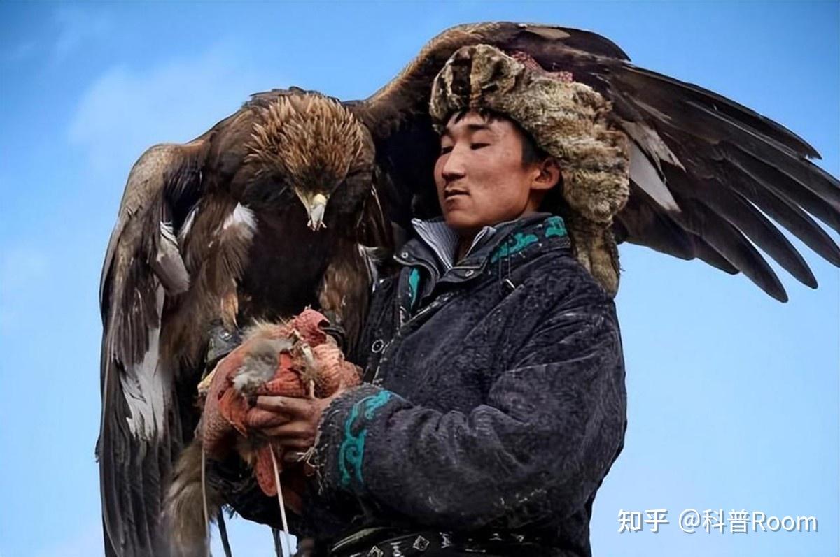 熬鹰到底有多难?七天七夜不合眼,还有人最后把自己熬死了 - 知乎