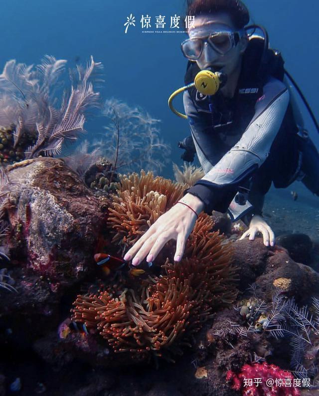 巴厘岛5天4晚的潜水之旅住豪华五星酒店感受别样的巴厘风情