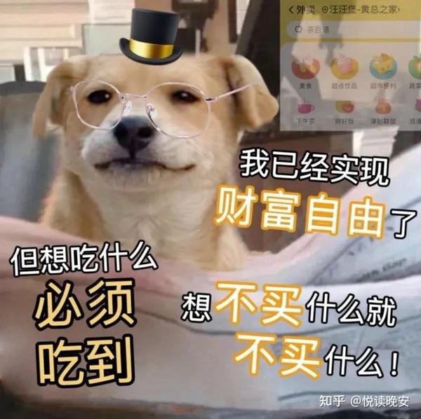 分享看了就会开心的表情包 - 知乎