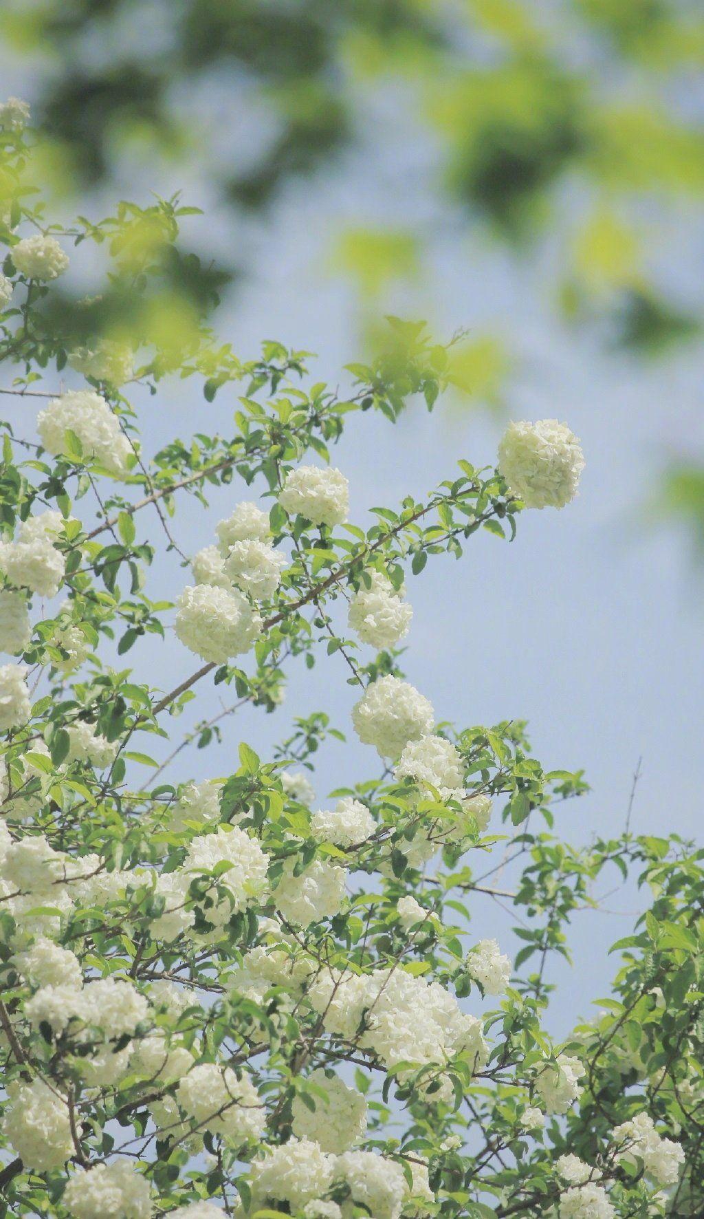 你收藏了哪些好看的背景图