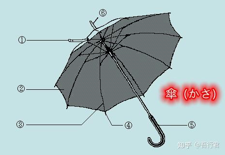 伞的结构图解图片