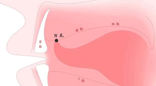你们平时舌头是怎么放在嘴里的？ - 知乎