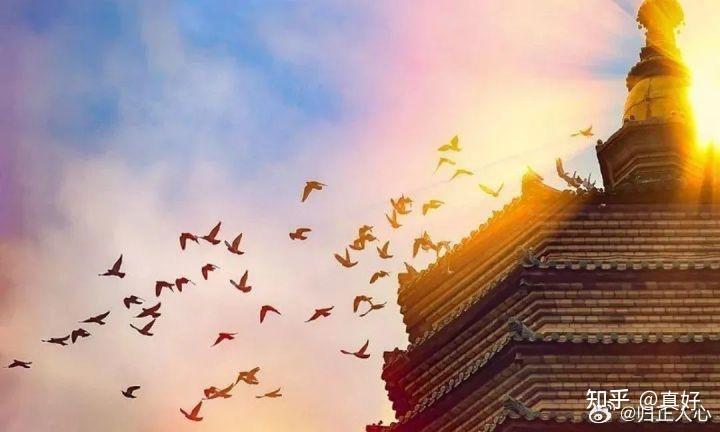 过客丨积德还是缺德，都会传给后代 - 知乎
