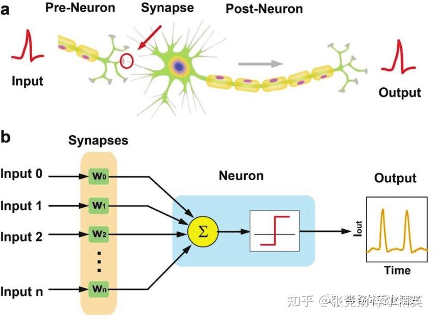 解决人工智能芯片功耗过大的一个思路就是比起主流的人工神经网络更