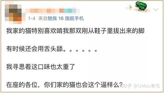 有只喜欢闻臭脚丫子的猫一瞬间,它沉迷了……当猫闻到这股气息臣妾