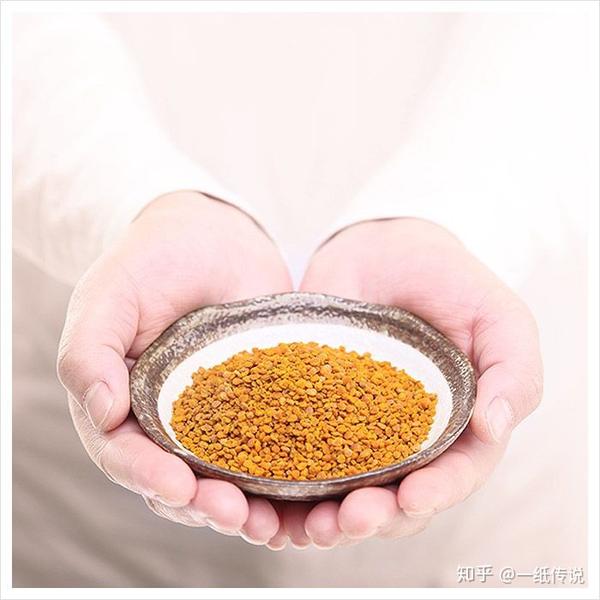 女人喝松花粉的功效与作用 松花粉的25种功效 什么人不适合喝松花粉